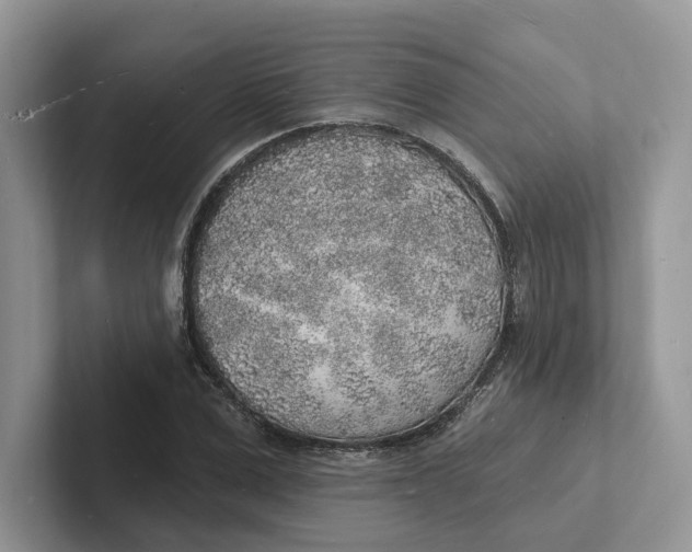 X0000101690975200807311408