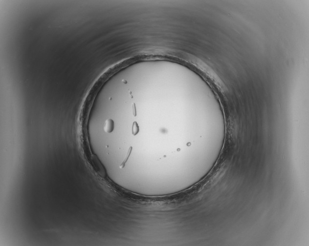 X0000101690976200807311408