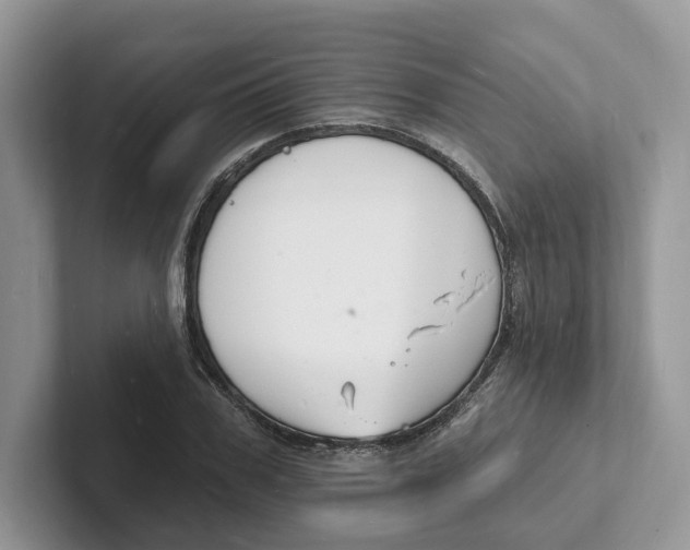 X0000101690979200807311408