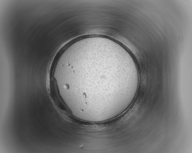 X0000101690980200807311408