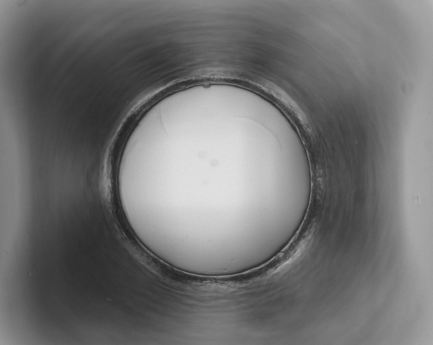 X0000101690981200807311408