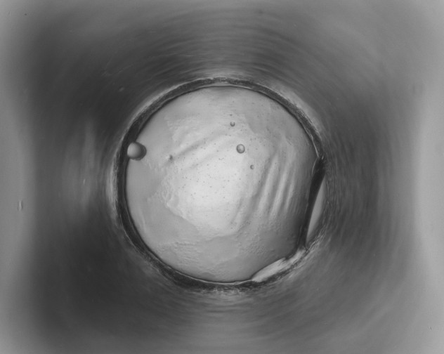 X0000101690983200807311408