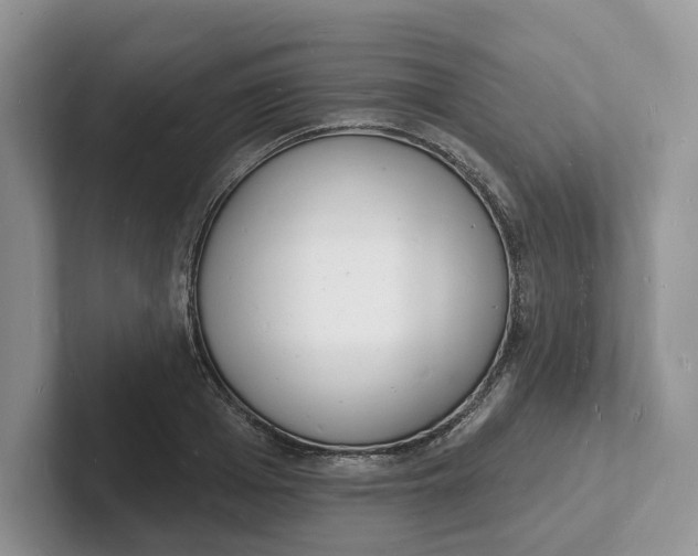 X0000101690985200807311408