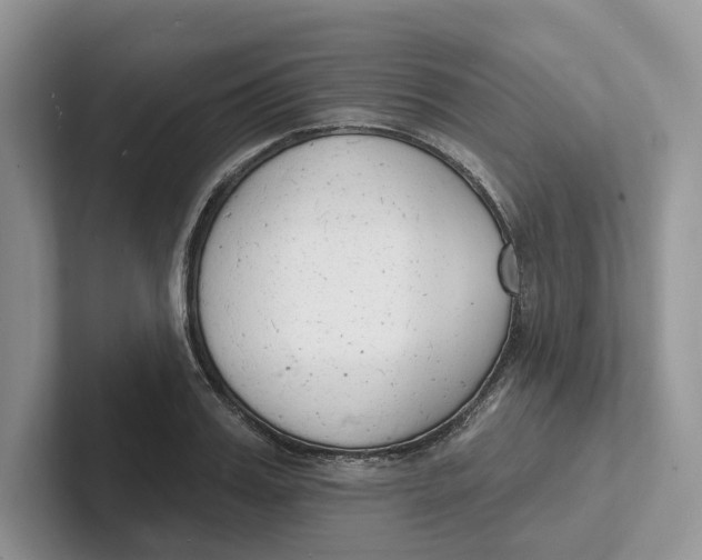 X0000101690987200807311408