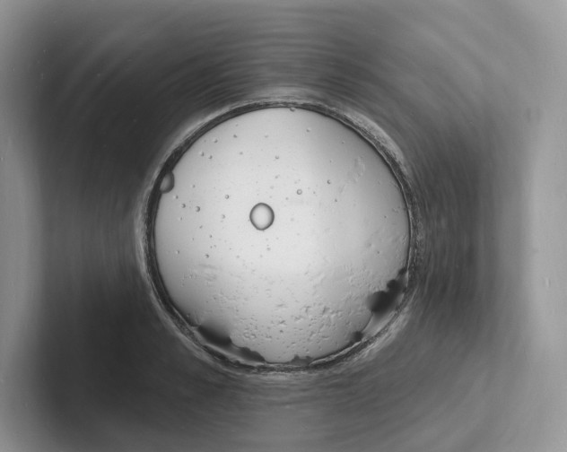 X0000101690989200807311408