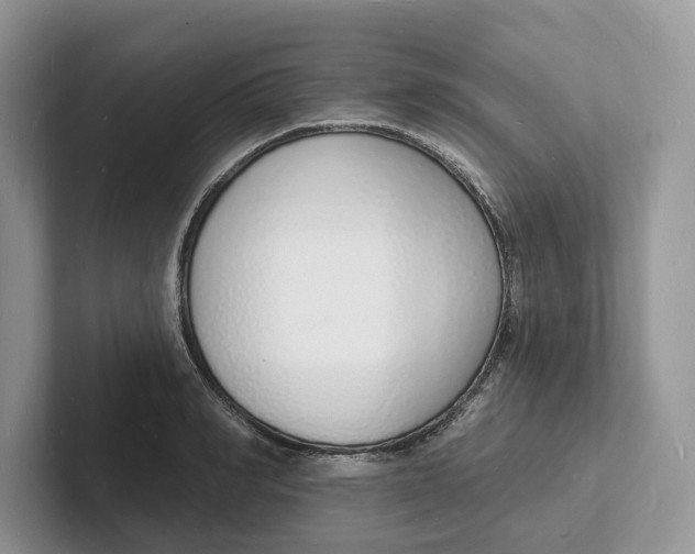 X0000101690990200807311408