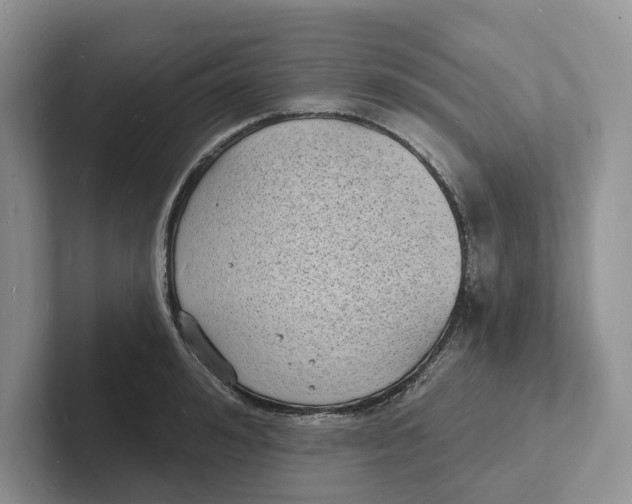 X0000101690992200807311408