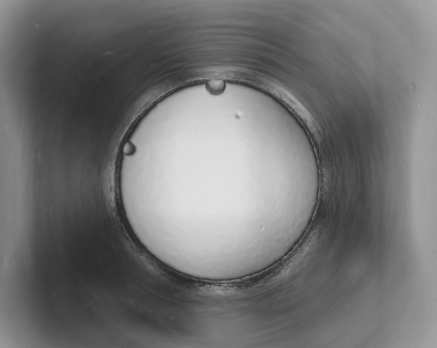 X0000101690994200807311408