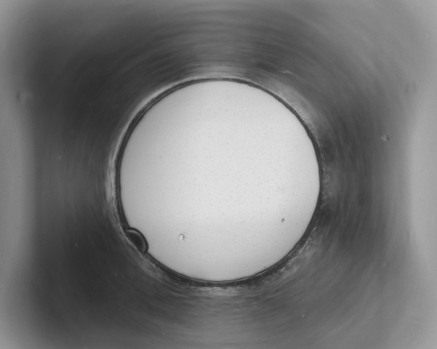 X0000101690996200807311408