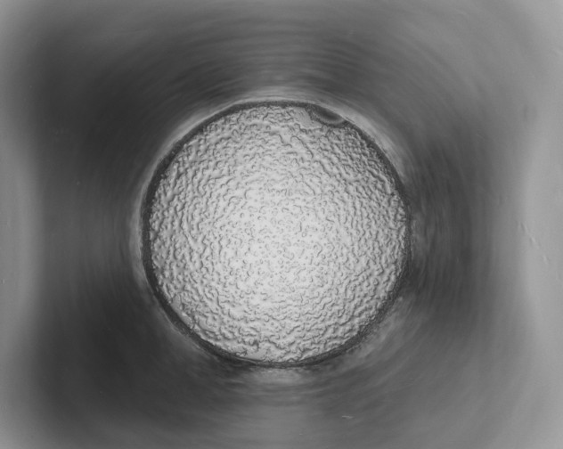 X0000101690998200807311408