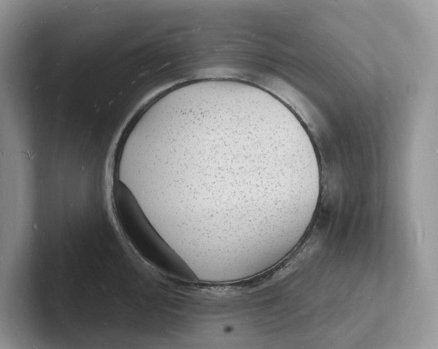 X0000101691000200807311408