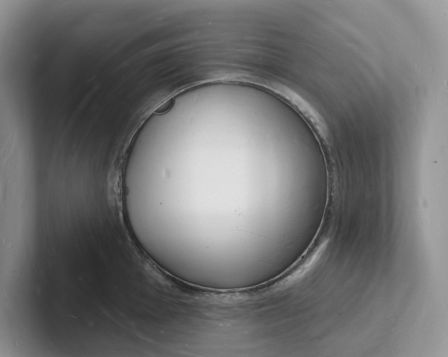 X0000101691001200807311408