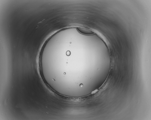 X0000101691003200807311408