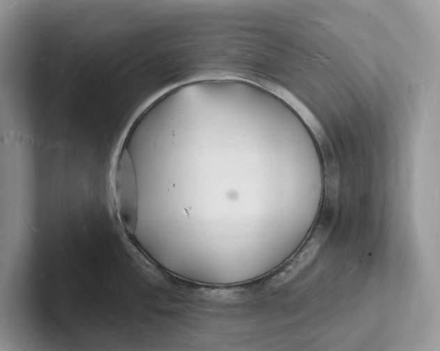 X0000101691004200807311408