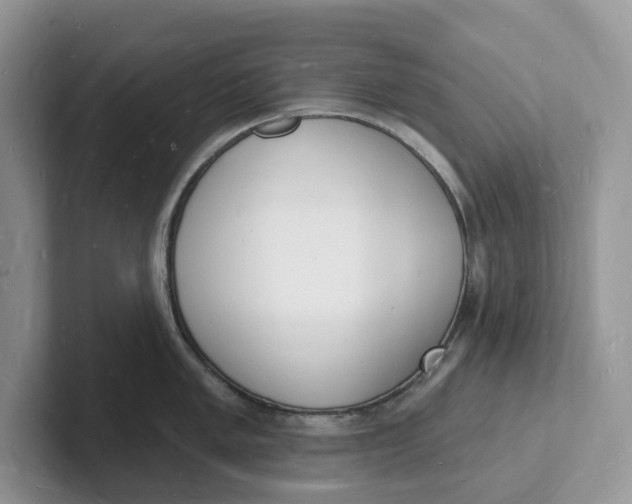 X0000101691005200807311408