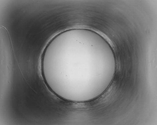 X0000101691006200807311408