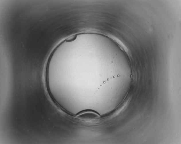 X0000101691007200807311408