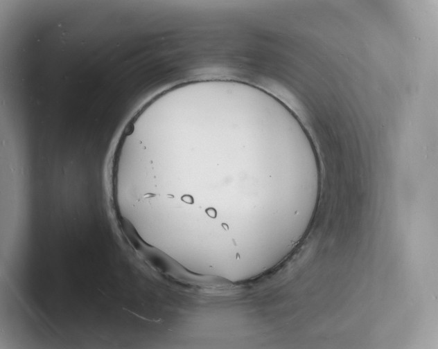 X0000101691008200807311408