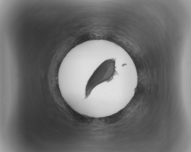 X0000101691009200807311407