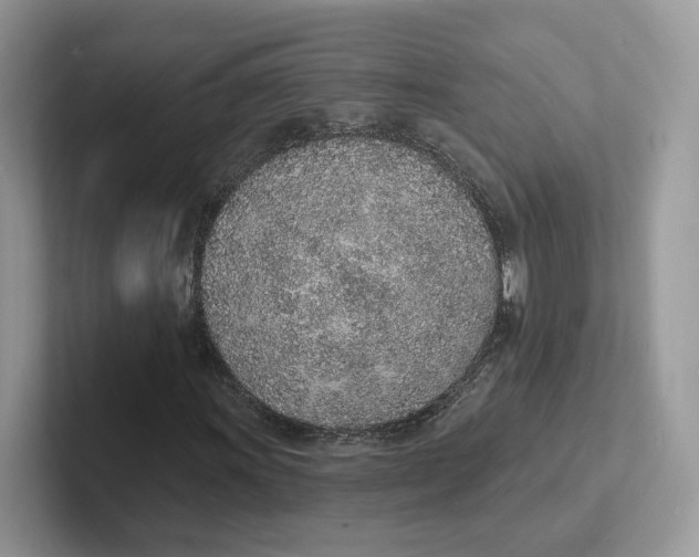 X0000101691011200807311407