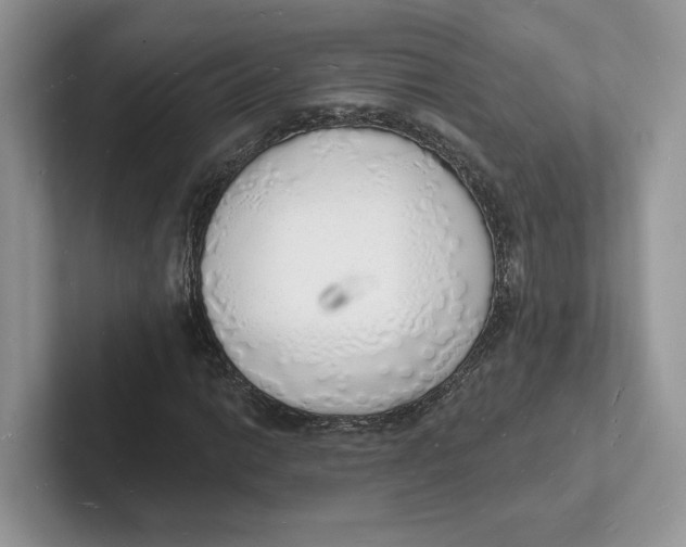 X0000101691014200807311407