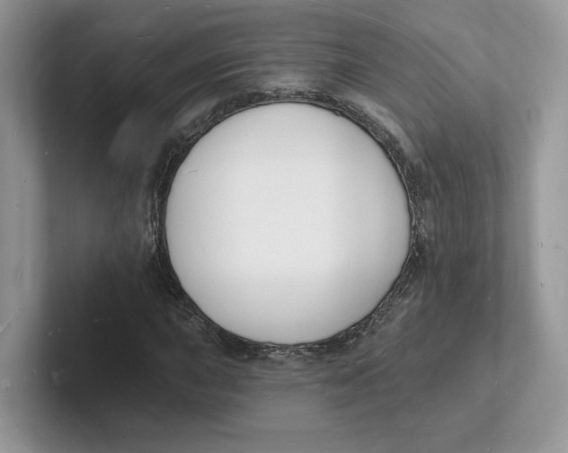 X0000101691015200807311407