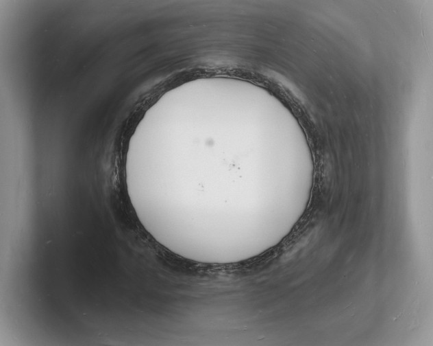 X0000101691016200807311407