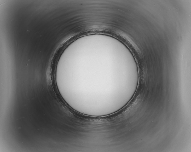 X0000101691018200807311407