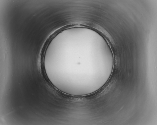 X0000101691020200807311407