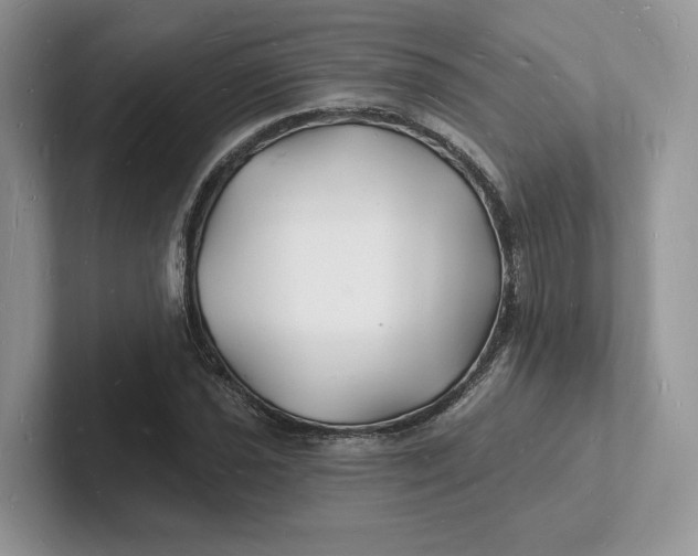 X0000101691021200807311407