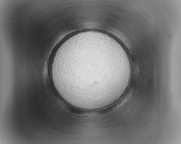 X0000101691023200807311407