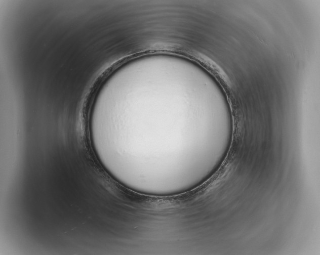 X0000101691027200807311408