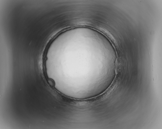 X0000101691031200807311408