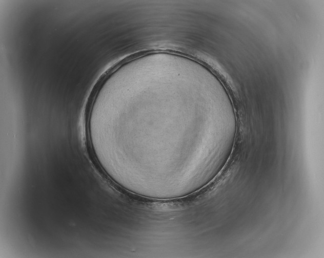 X0000101691032200807311408