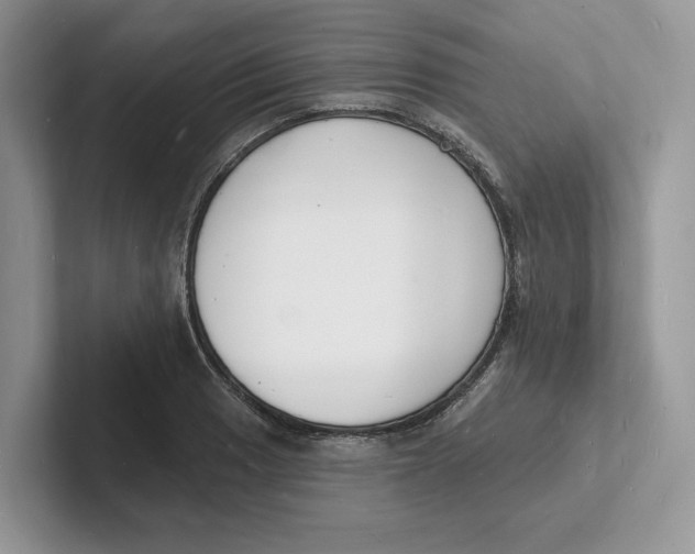 X0000101691033200807311408