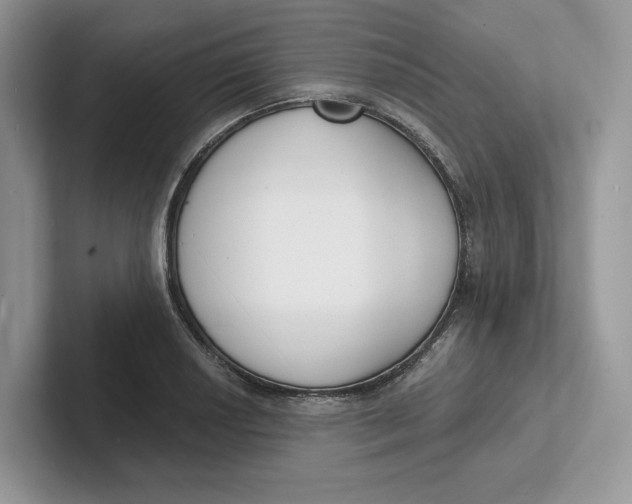 X0000101691034200807311408