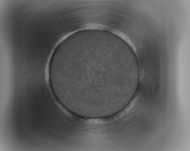 X0000101691037200807311408