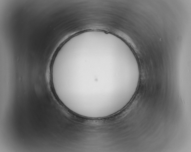 X0000101691040200807311408