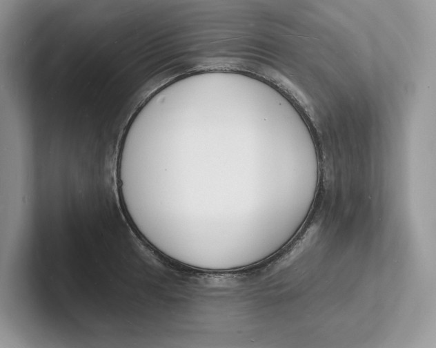 X0000101691041200807311408