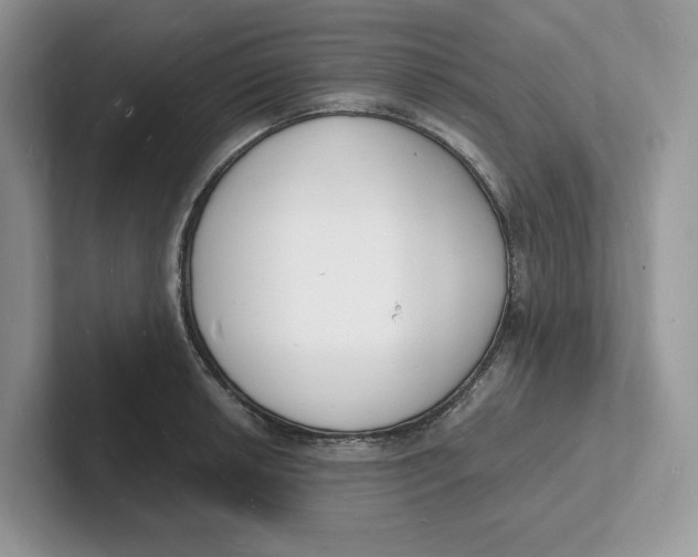 X0000101691042200807311408