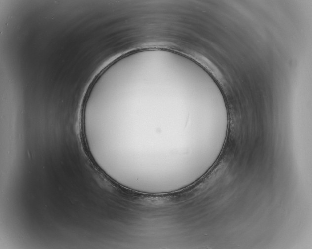 X0000101691044200807311408