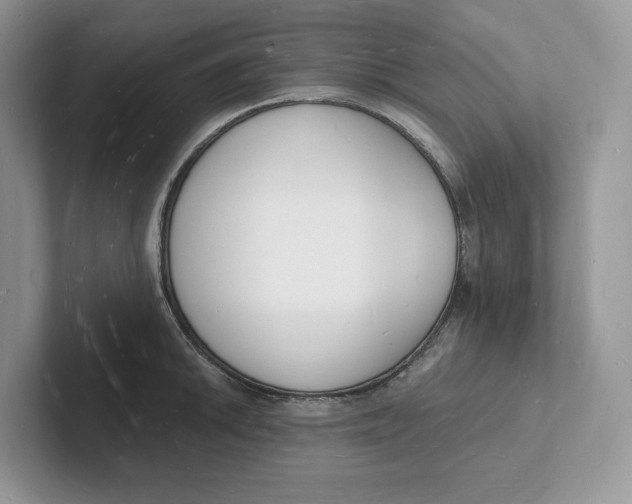 X0000101691046200807311408