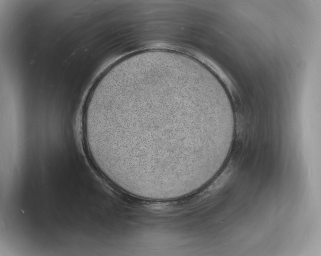 X0000101691048200807311408