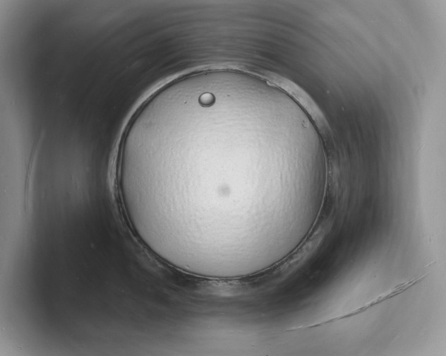 X0000101691052200807311408