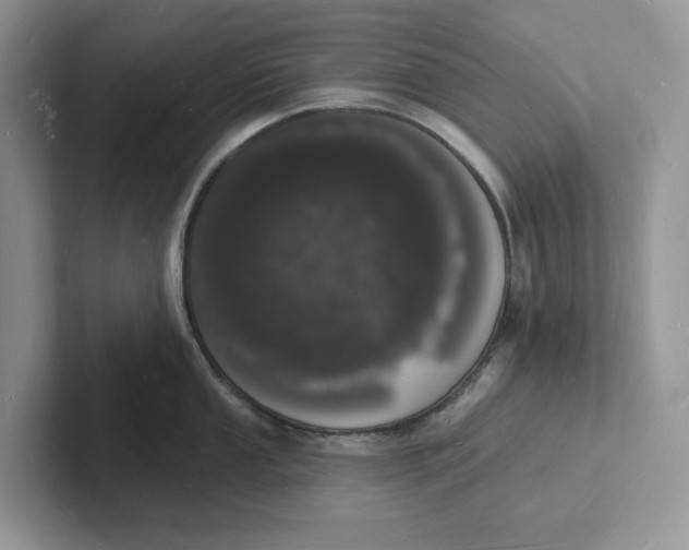 X0000101691053200807311408