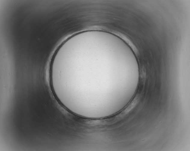 X0000101691054200807311408