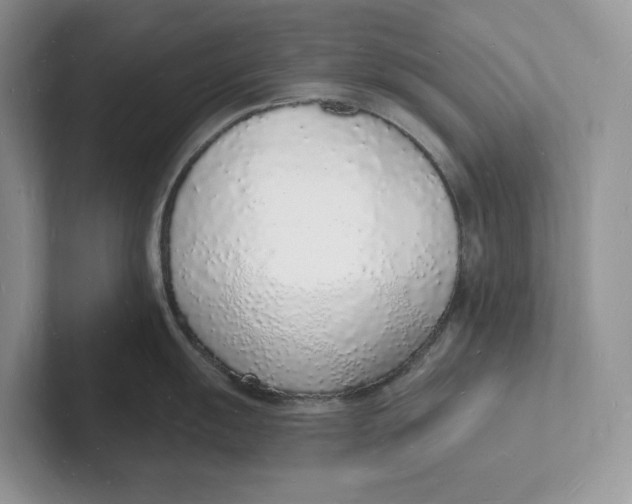 X0000101691055200807311408