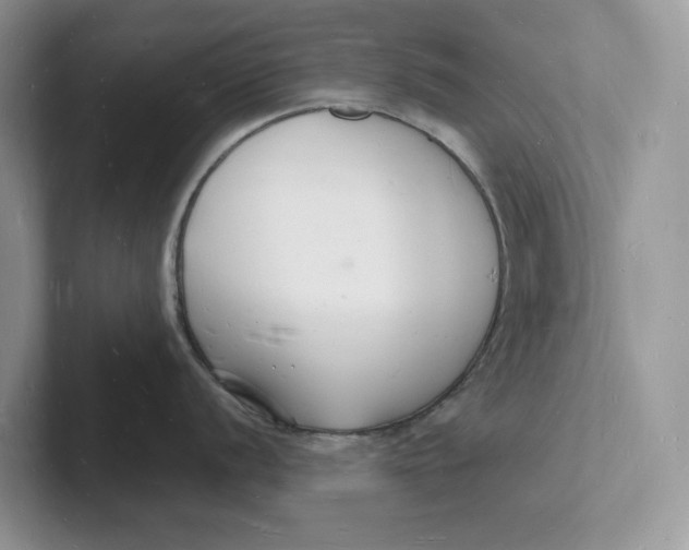 X0000101691056200807311408