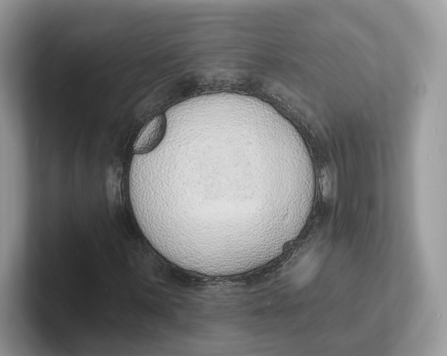 X0000101691059200807311407