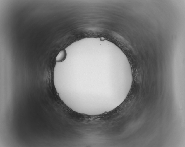 X0000101691061200807311407